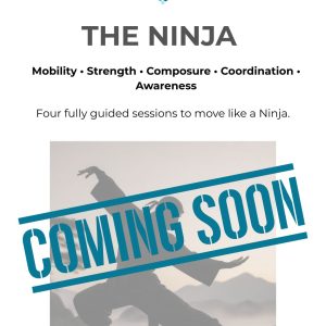 The Ninja